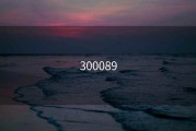 300089
