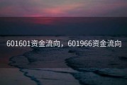 601601资金流向，601966资金流向