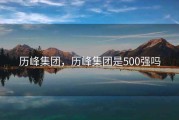 历峰集团，历峰集团是500强吗