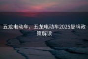 五龙电动车，五龙电动车2025复牌政策解读