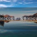 002422股票，股票002421