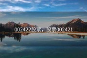 002422股票，股票002421