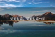 诺亚财富，诺亚财富公司