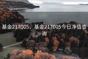 基金217005，基金217005今日净值查询