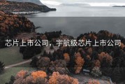 芯片上市公司，宇航级芯片上市公司