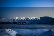 600069，6000698