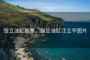 恒立油缸股票，恒立油缸汪立平图片