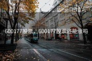 600177股票，600177股票还能涨吗