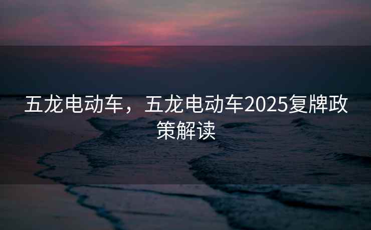 五龙电动车，五龙电动车2025复牌政策解读