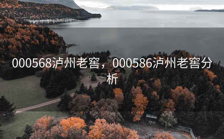 000568泸州老窖，000586泸州老窖分析