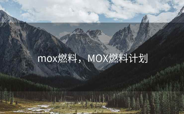 mox燃料，MOX燃料计划
