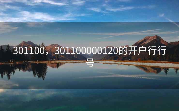 301100，301100000120的开户行行号