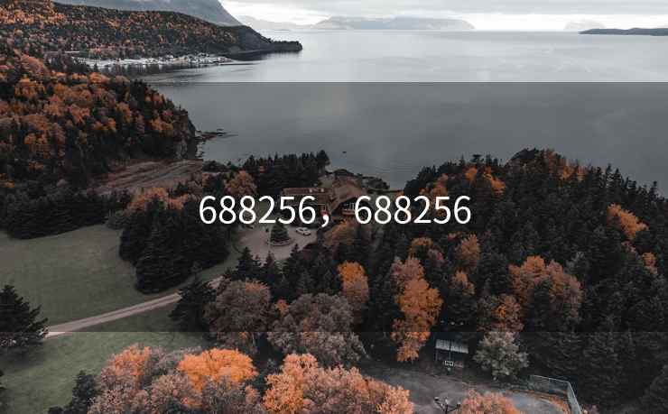 688256，688256
