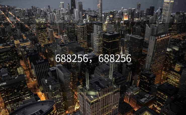 688256，688256