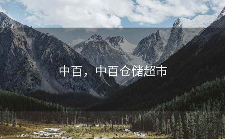 中百，中百仓储超市