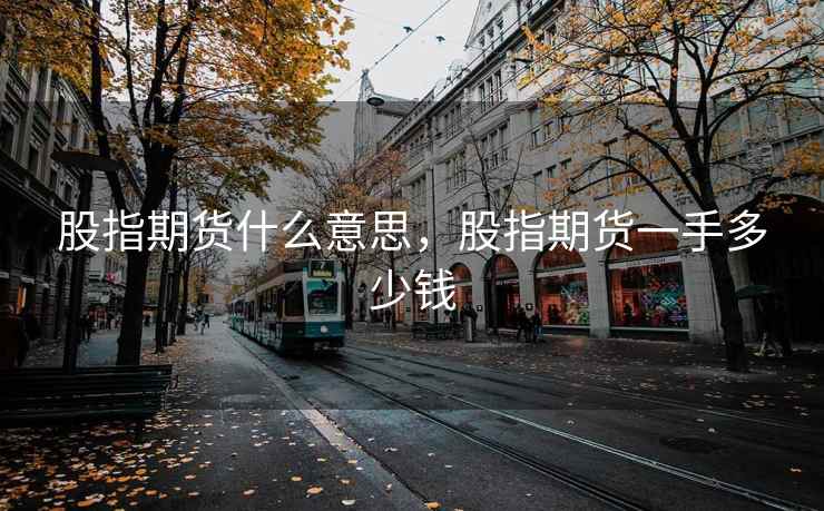 股指期货什么意思，股指期货一手多少钱