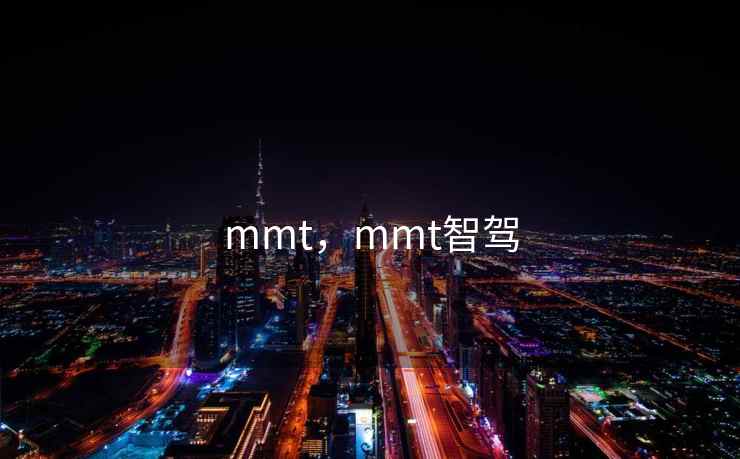 mmt，mmt智驾