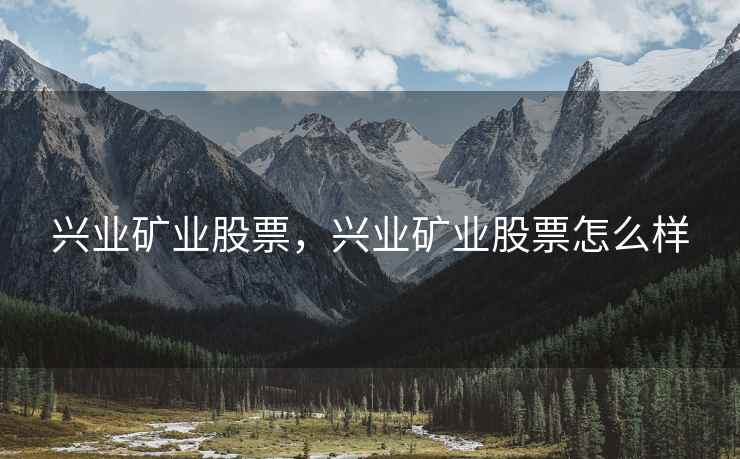 兴业矿业股票，兴业矿业股票怎么样