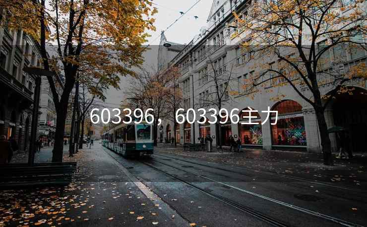 603396，603396主力