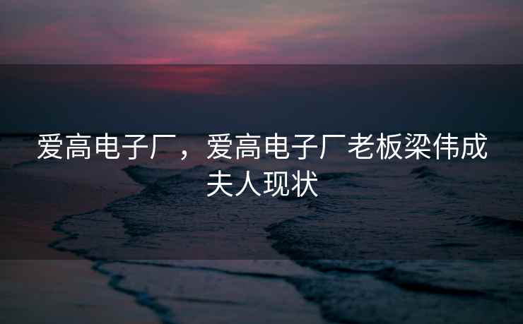 爱高电子厂，爱高电子厂老板梁伟成夫人现状