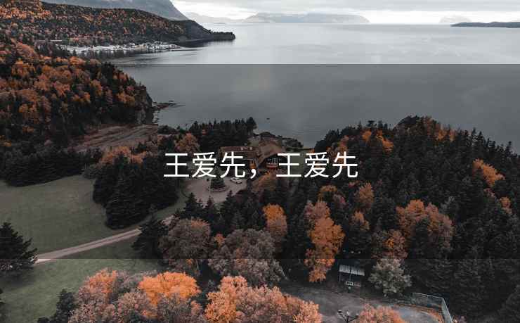 王爱先，王爱先