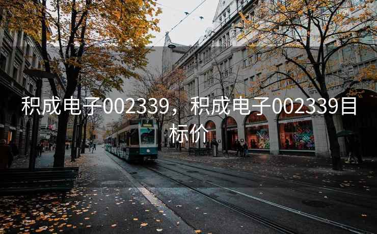 积成电子002339，积成电子002339目标价