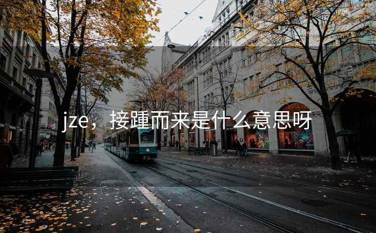 jze，接踵而来是什么意思呀