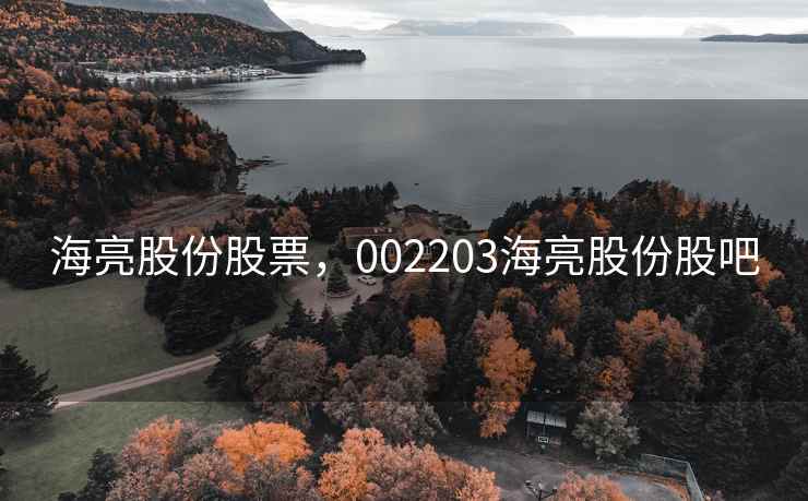 海亮股份股票，002203海亮股份股吧