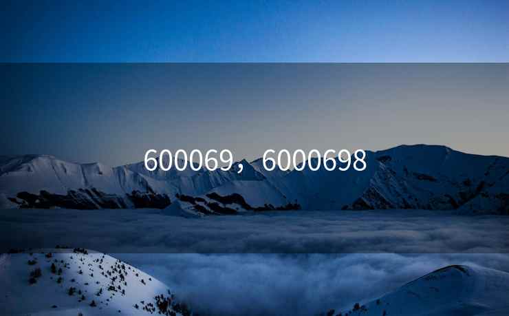 600069，6000698