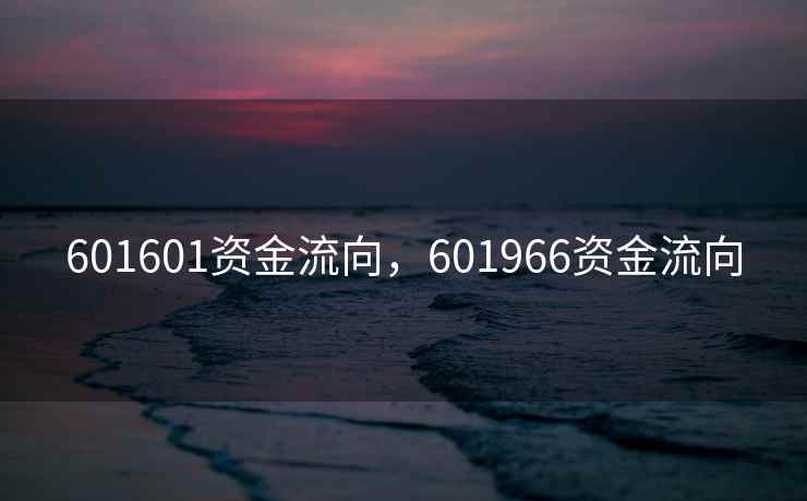 601601资金流向，601966资金流向