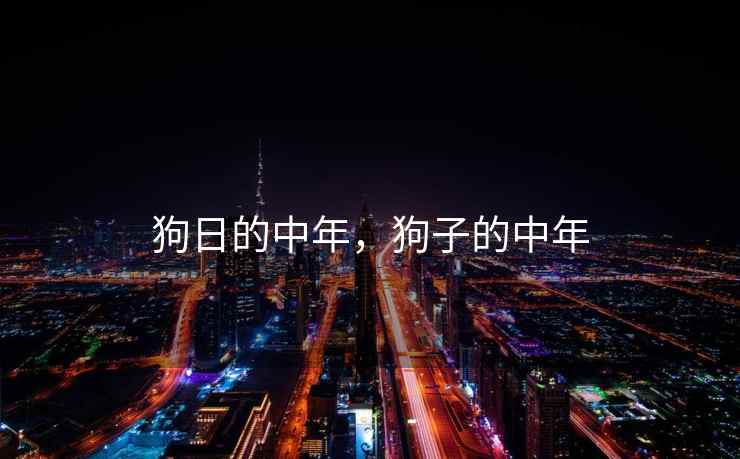 狗日的中年，狗子的中年