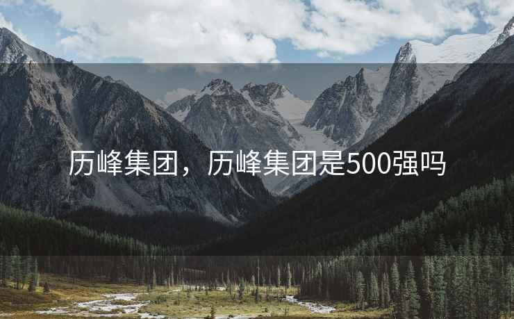 历峰集团，历峰集团是500强吗