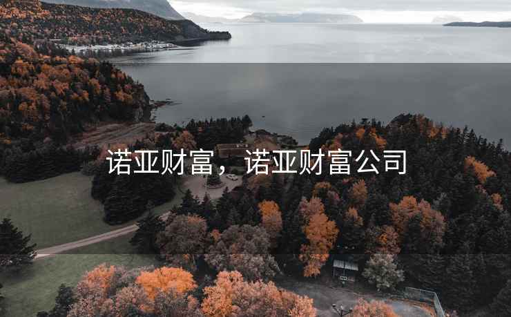 诺亚财富，诺亚财富公司