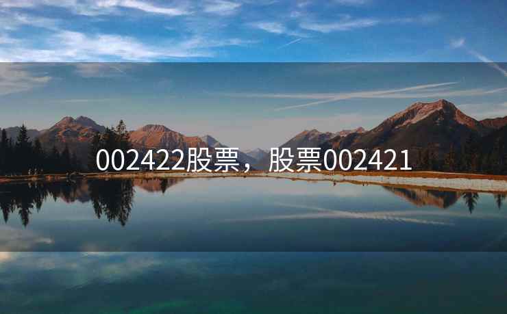 002422股票，股票002421